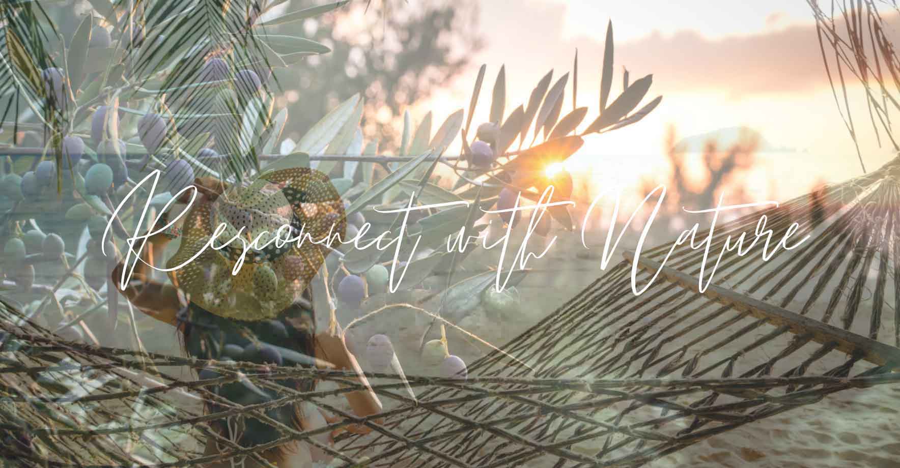 Reconnect With Nature 2